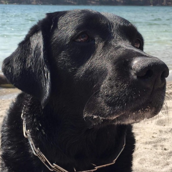 Meet your Posher, Mark - Picture 1 of 1